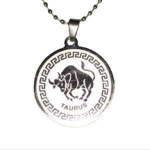 Silver Stainless Steel Frosted Taurus  Zodiac Pendant Necklace Birth Birthsign